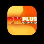 PKPLUS