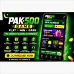 Pak500 Game app icon
