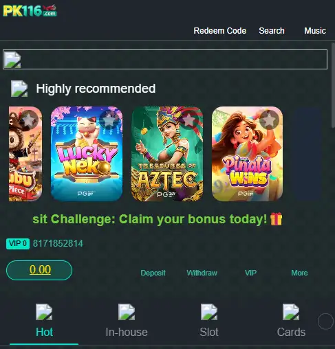 PK116 Game