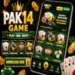 Pak14 Game feature image with mobile gaming interface